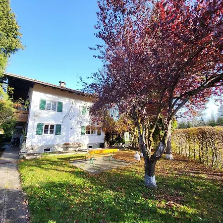 Apartment Vreni *